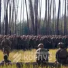 Victorie majoră a Ucrainei: a recuperat 176 km pătrați, a luat 250 de prizonieri, a scos din luptă circa 9.000 de militari ruși