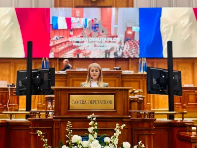 Demisionarii POT vor consultări la Cotroceni (sursa: Facebook/Aurora Tasica Simu)