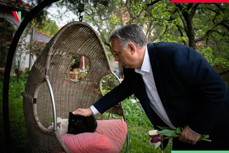 Fondurile de pensii facultative din Ungaria au pierdut  Foto: Facebook Viktor Orban