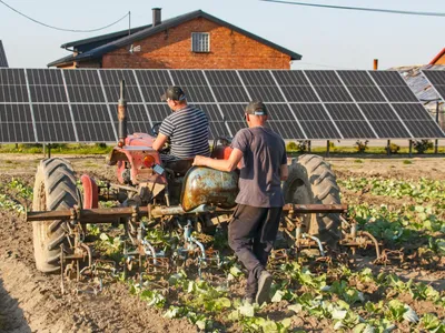 Micii fermieri nu fac față noilor taxe (sursa: Pexels/Aleksander Dumała)