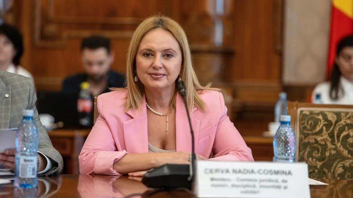 Suveranista Cosmina Cerva i-a salvat pe politicieni de obligația de a-și declara cash-ul: amendament acceptat la legea integrității – poza 1