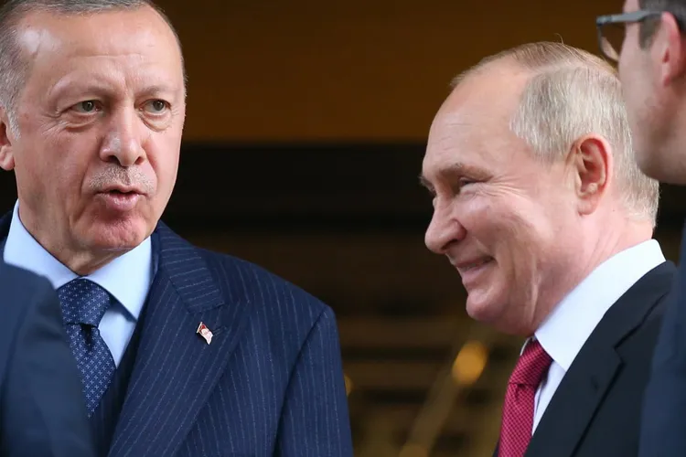 Erdogan i-a cerut lui Putin să oprească războiul (sursa: TheMoscowTimes)