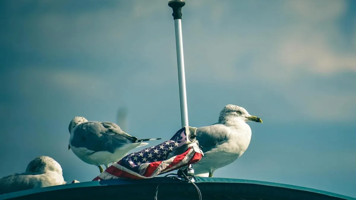 SUA închid ambasade, inclusiv în Europa (sursa: Pexels/Chris F)