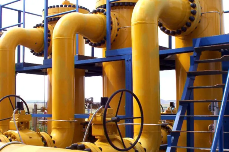 Misterioasa bugetară cu Mercedes și vilă în Voluntari plasată în conducerea a trei companii de stat Foto: Transgaz