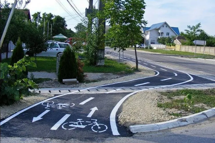 Pistă pentru biciclete, 315 copaci tăiați (sursa: ziaruldeiasi.ro)