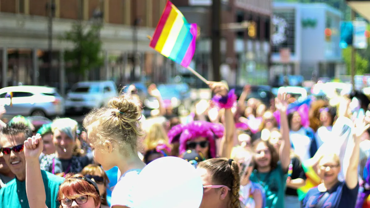 Nouă alianță LGB contestă tema transgender (sursa: Pexels/Rosemary Ketchum)