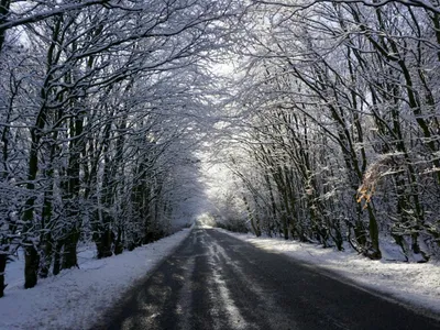 Februarie, ger și ninsori în toată țara (sursa: Pexels/Damien Wright)