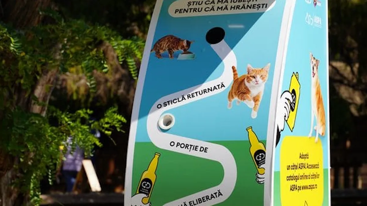 Asociația Sache și RetuRO hrănesc pisicile comunitare (sursa: RetuRO)