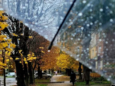 Toamna își intră în drepturi, vremea se răcește (sursa: Pexels/Vita Semenovich)