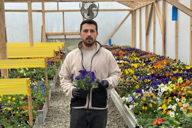 Florile comestibile, afacerera unui antreprenor ieșean (sursa: ziaruldeiasi.ro)