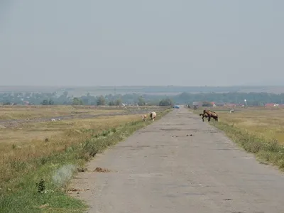 "Drumul lui Kim Ir Sen", occidentalizat (sursa: ziaruldeiasi.ro)