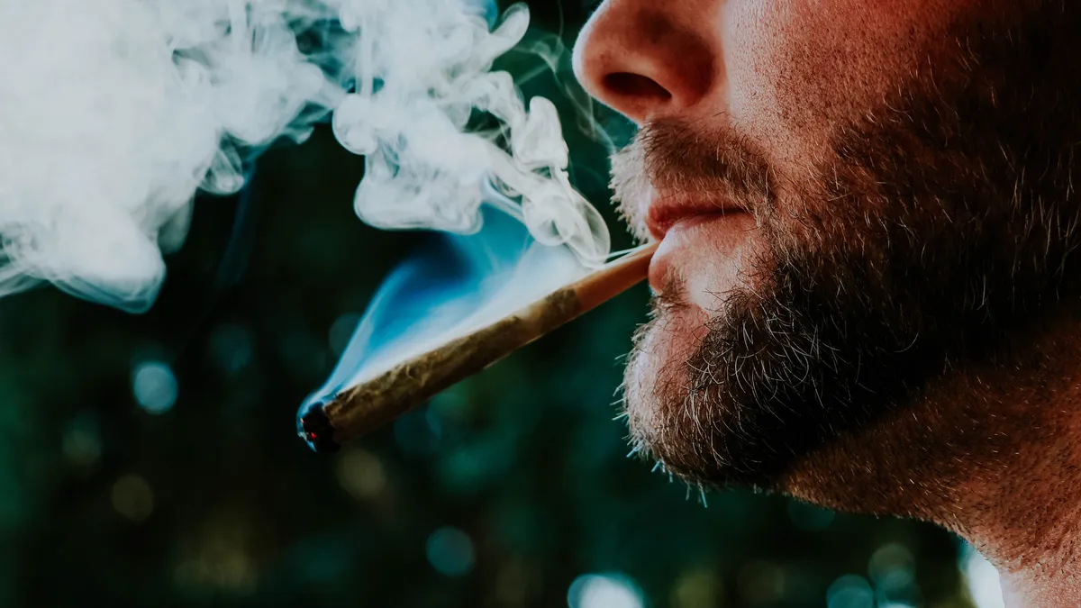 Judecătorii reduc pedeapsa unui șofer prins cu cannabis: munca în străinătate l-ar fi „contaminat” – poza 1