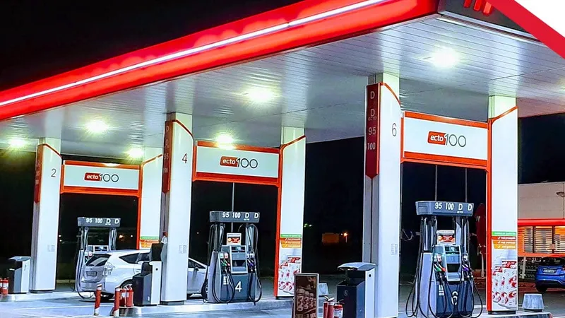 Principalele companii rusești care acționează în România Foto: Facebook Lukoil