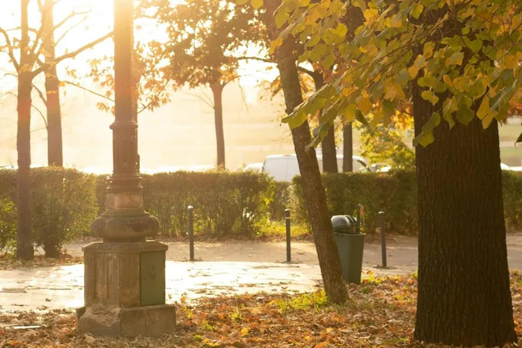 Răcire accentuată a vremii în România (sursa: Pexels/Bianca Jelezniac)