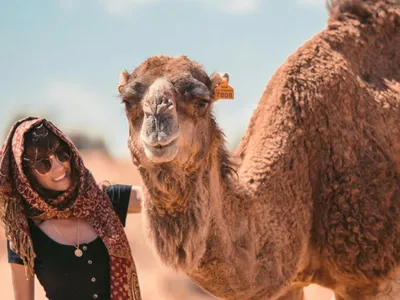 Vacanță cu peripeții, mușcături periculoase (sursa: Pexels/Taryn Elliott)