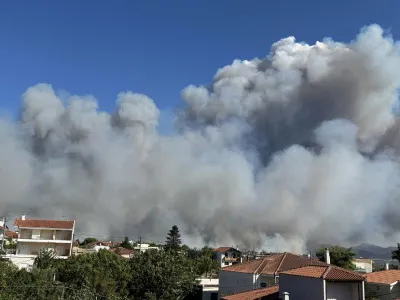 Incendiile de pădure, dezastru în Grecia (sursa: ekathimerini.com)
