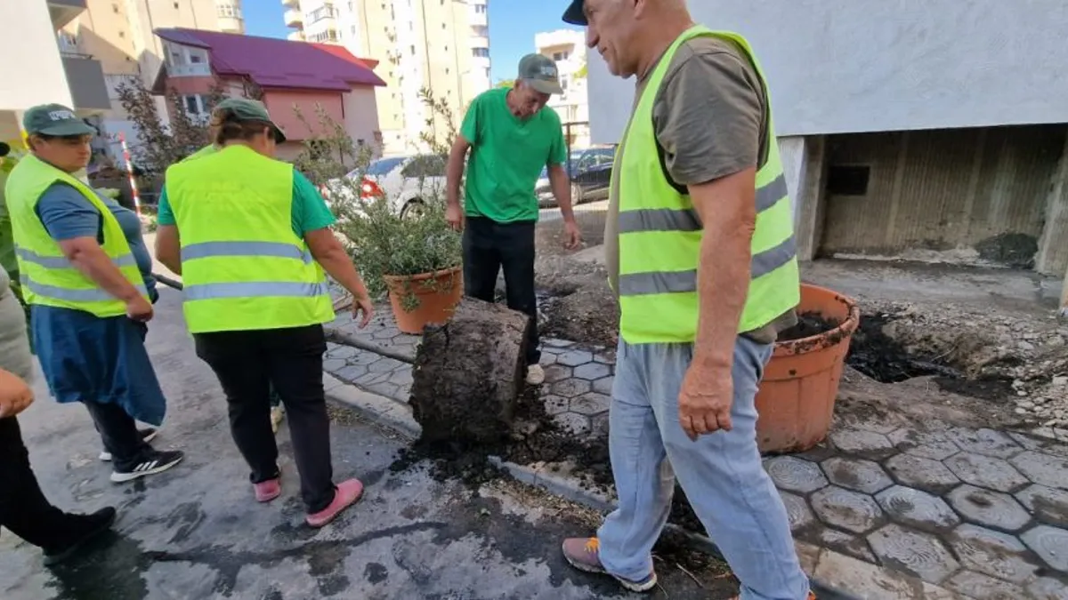 Strănepoții teiului lui Eminescu, poluați mortal (sursa: ziaruldeiasi.ro)