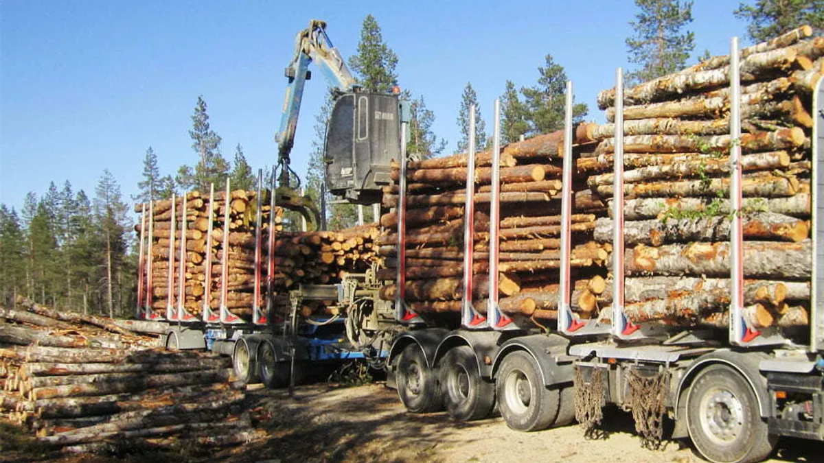România ajută Republica Moldova și cu lemne de foc, vândute la preț mic Foto: Gosen Via Trans