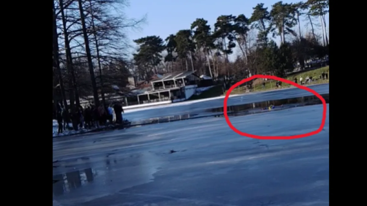 Un nepalez a salvat o fetiță din apele înghețate ale lacului din Parcul Romanescu, Craiova Foto: Captură video