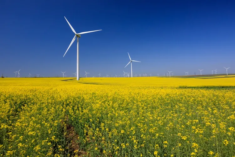 Fond de investiţii în eficienţă energetică Foto: Facebook Romania Frumoasa