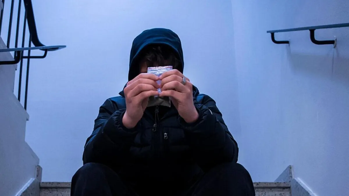 Suedia propune pedepse penale de la 13 ani (sursa: Facebook/Polisen)