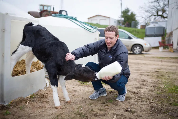 Facebook și Instagram ascund mesajele presei și ale politicienilor Foto: Facebook Mark Zuckerberg