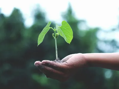 Facturile mari ascund costul poluării (sursa: Pexels/Akil Mazumder)