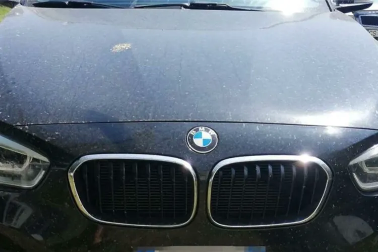 BMW, marca cea mai căutată pe piața la mâna a doua (sursa: Poliția de Frontieră)