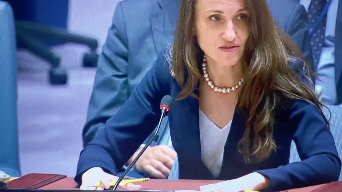 Români blocați în Orientul Mijlociu, presiune pe MAE (sursa: Facebook/Oana Țoiu)