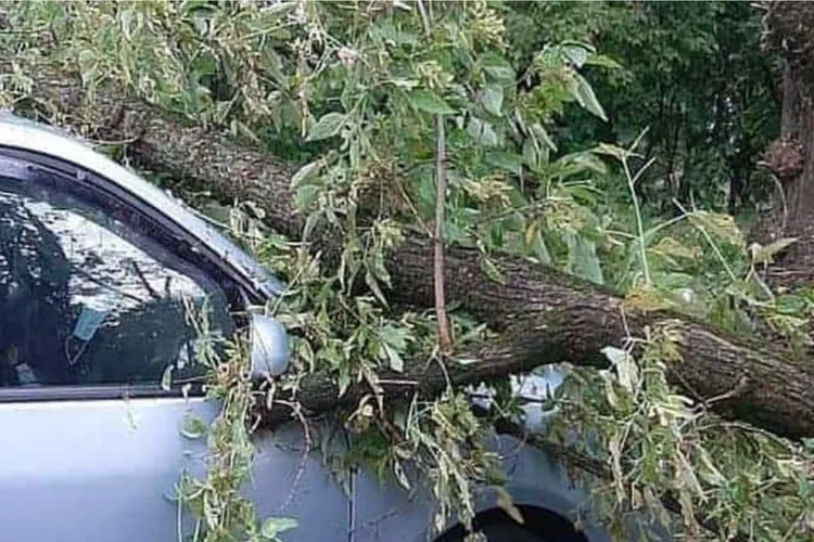 Daune pentru mașină avariată de copac (sursa: ziaruldeiasi.ro)