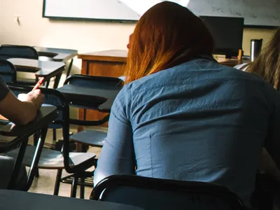 Genitivul le-a dat bătăi mari de cap elevilor la Evaluarea Națională (sursa: Pexels/Kari Alfonso)
