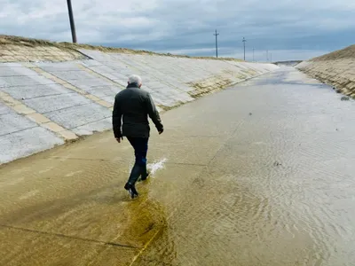 Daea întreabă, Daea răspunde Foto: Facebook