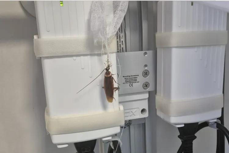 Acuzații privind condițiile din Spitalul Floreasca (sursa: Facebook/Alina Alexandru)