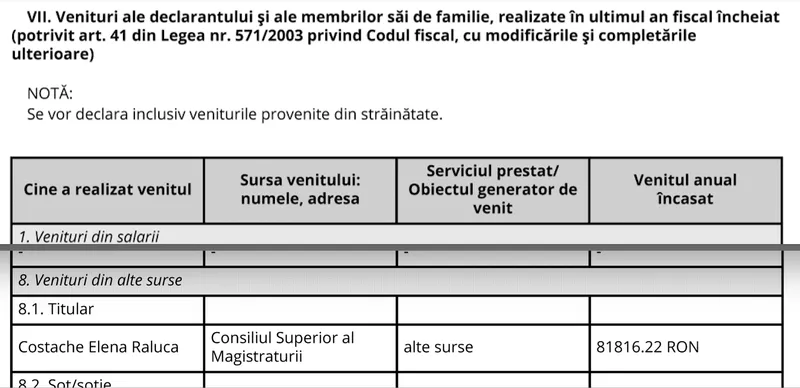 Venituri din alte surse ale șefei CSM