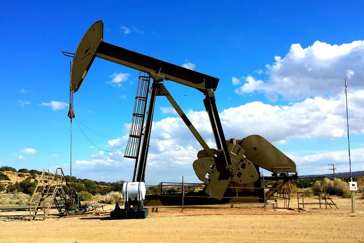 Germania va rezista interdicției UE asupra petrolului rusesc în ciuda penuriei - ministru german al Economiei