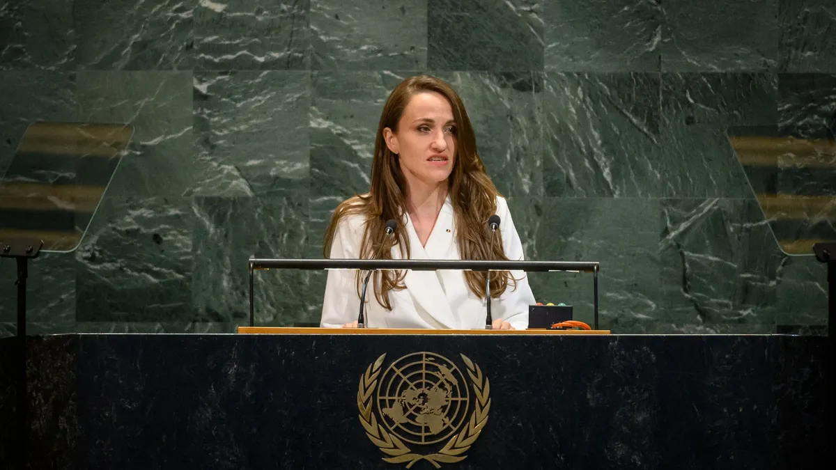 Drona de la Galați, reuniune ONU (sursa: Facebook/Ministerul Afacerilor Externe)
