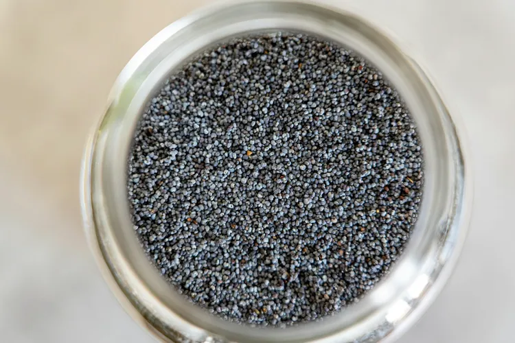 Produse alimentare cu opium și antibiotice în exces, vândute în toate supermarketurile (sursa: Pexels/Castorly Stock)