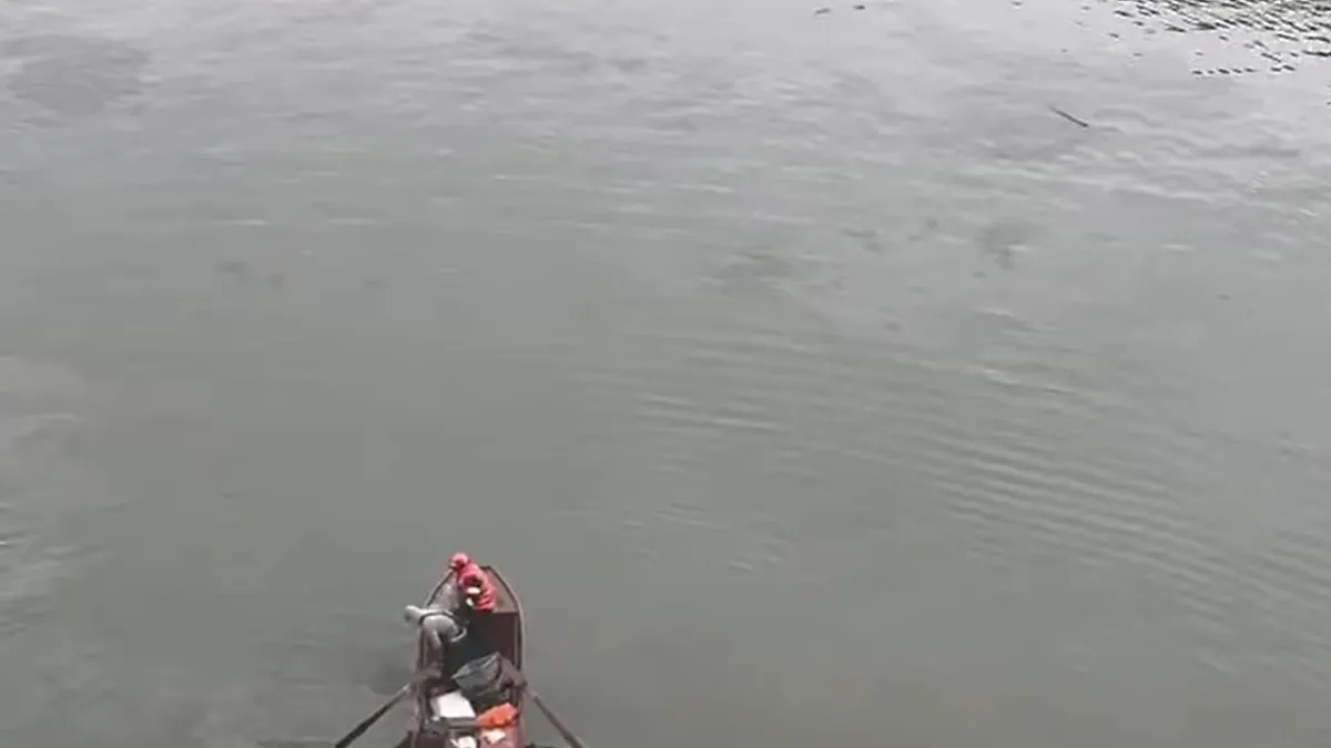 Un microbuz a căzut în Dunpre, însă deocamdată lipsesc informații esențiale Foto: News.ro