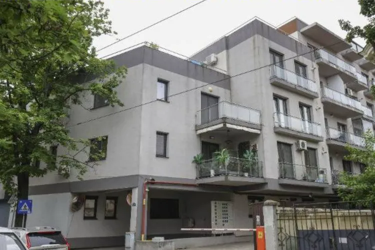 Minciuna apartamentului mic al lui Simion (sursa: Inquam Photos/Octav Ganea)