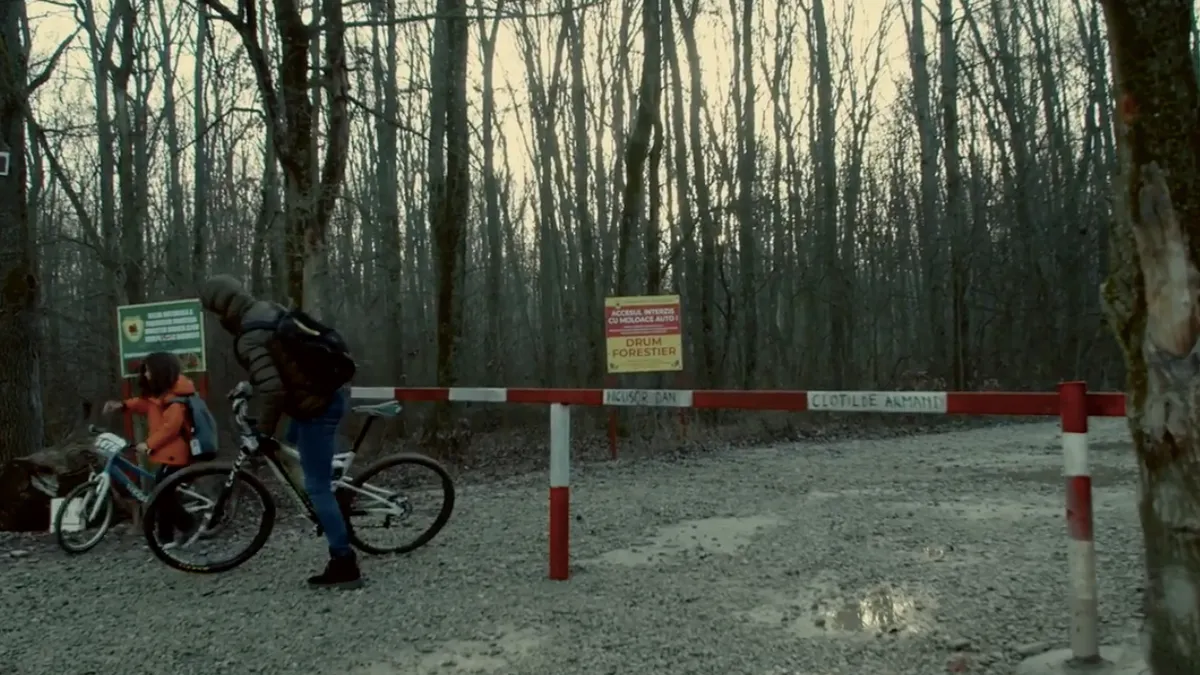 Deschiderea drumului forestier prin Băneasa, inutilă (sursa: greennews.ro)