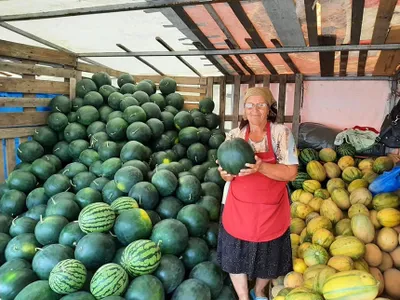 Guvernul vrea ca toate vânzările de legume, fructe, flori să fie făcute pe factură electronică Foto. News.ro