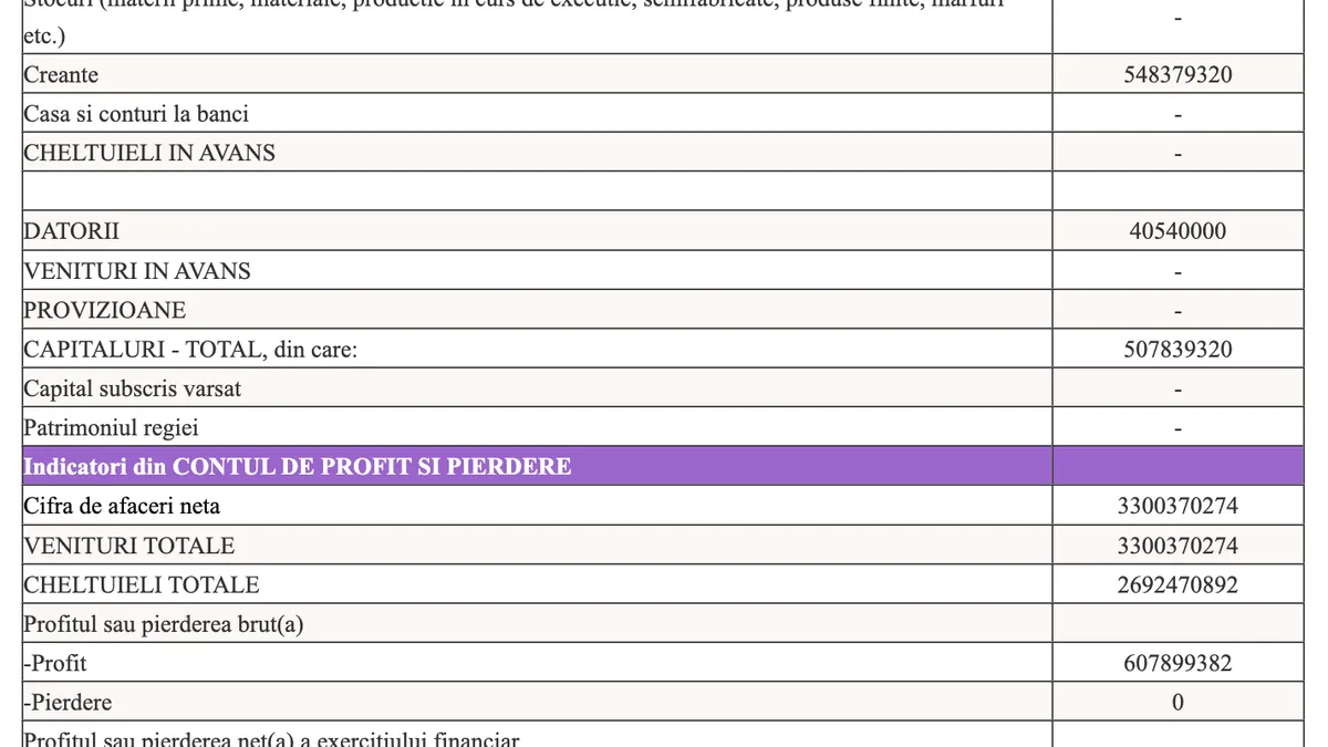 Bilanțul pe 2024 al MJP Interactive Ltd. St. Julians Malta, Sucursala București (sursa: Ministerul Finanțelor)