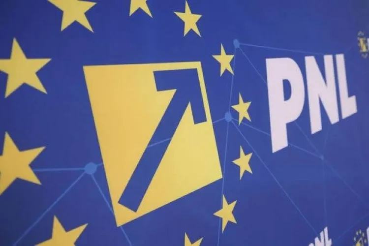 PNL acuză Tribunalul Ilfov Foto: PNL