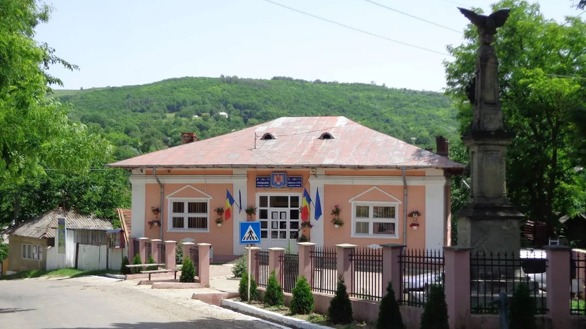 Fiică bătută, tatăl, iertat de judecători (sursa: Facebook/Primaria Tansa)