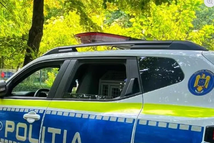 Viața la țară: șase ani fără permis pentru 66 cl de bere pe drumul sătesc 666