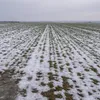 Agricultura românească între recolte și pierderi (sursa: ziaruldeiasi.ro)