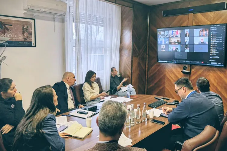 Români în Emirate, ședință MAE (sursa: Facebook/Oana Țoiu)