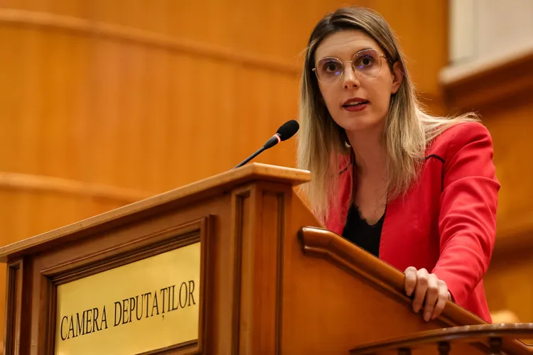 Autorizarea unor hidrocentrale prin corupție (sursa: Facebook/Diana Buzoianu)