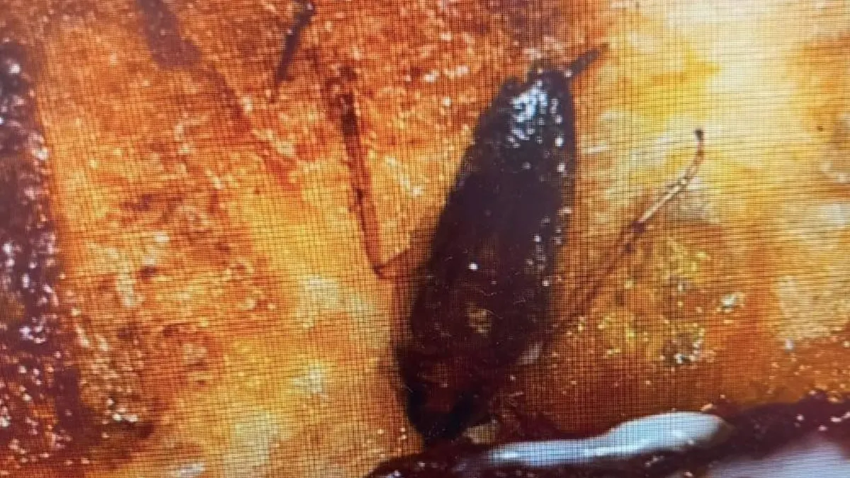 Pizza cu gândaci, pentru pacienții spitalului (sursa: Facebook/Actual Mehedinți)