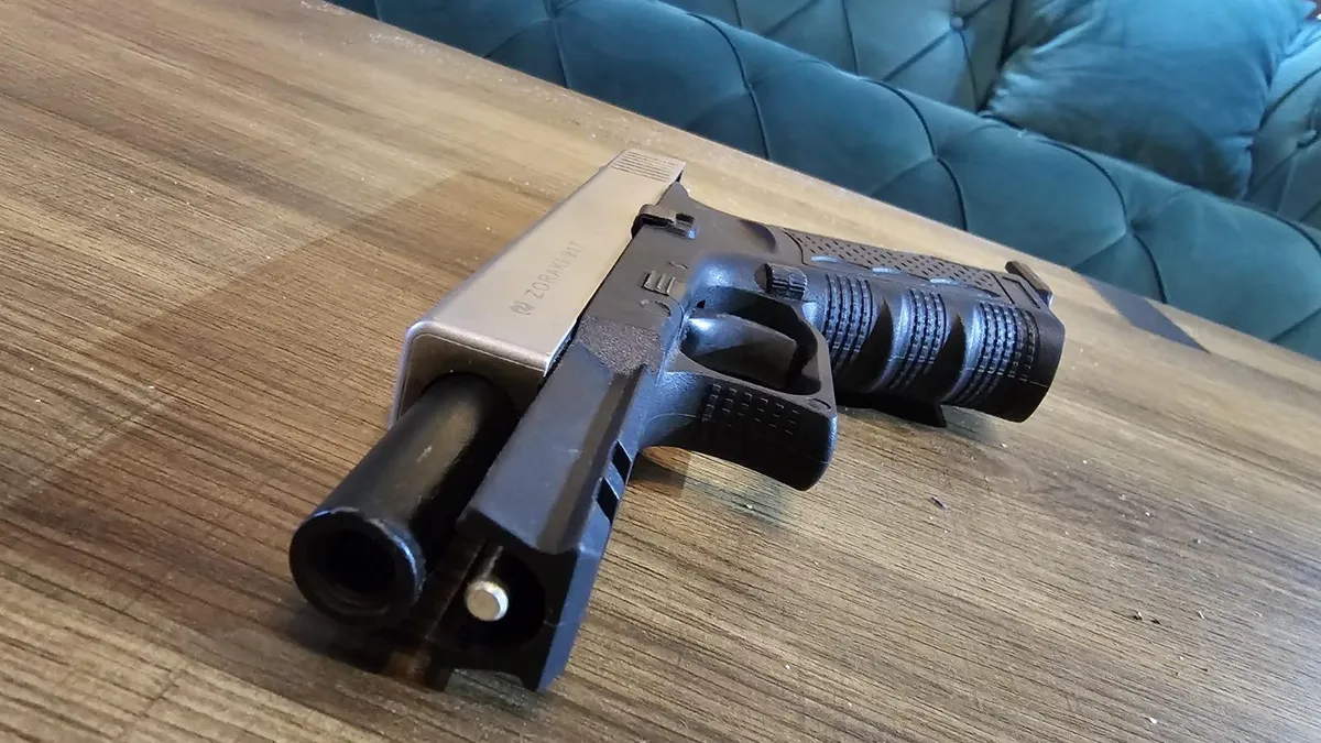 Banii și armele lui Horațiu Potra